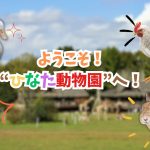 うさぎ🐇にアヒル🦆にモルモット🐰✨緊張の中、動物たちと触れ合った1日をご覧ください！