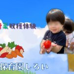 お外はとっても暑い！ひんやりとした室内で七夕イベント🎋を楽しみました♪＠ひなた保育園しろい